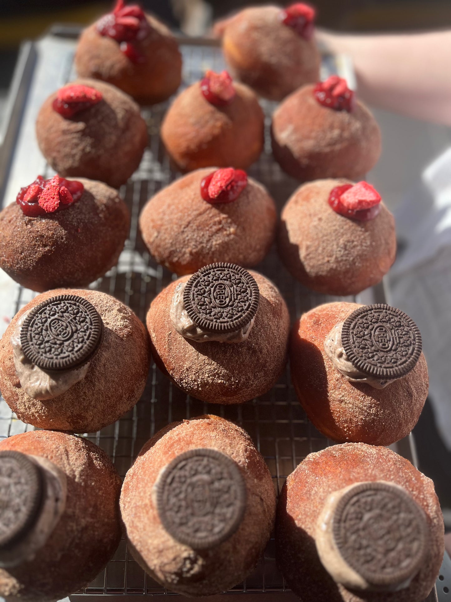 Decadent Doughnut 4-Pack