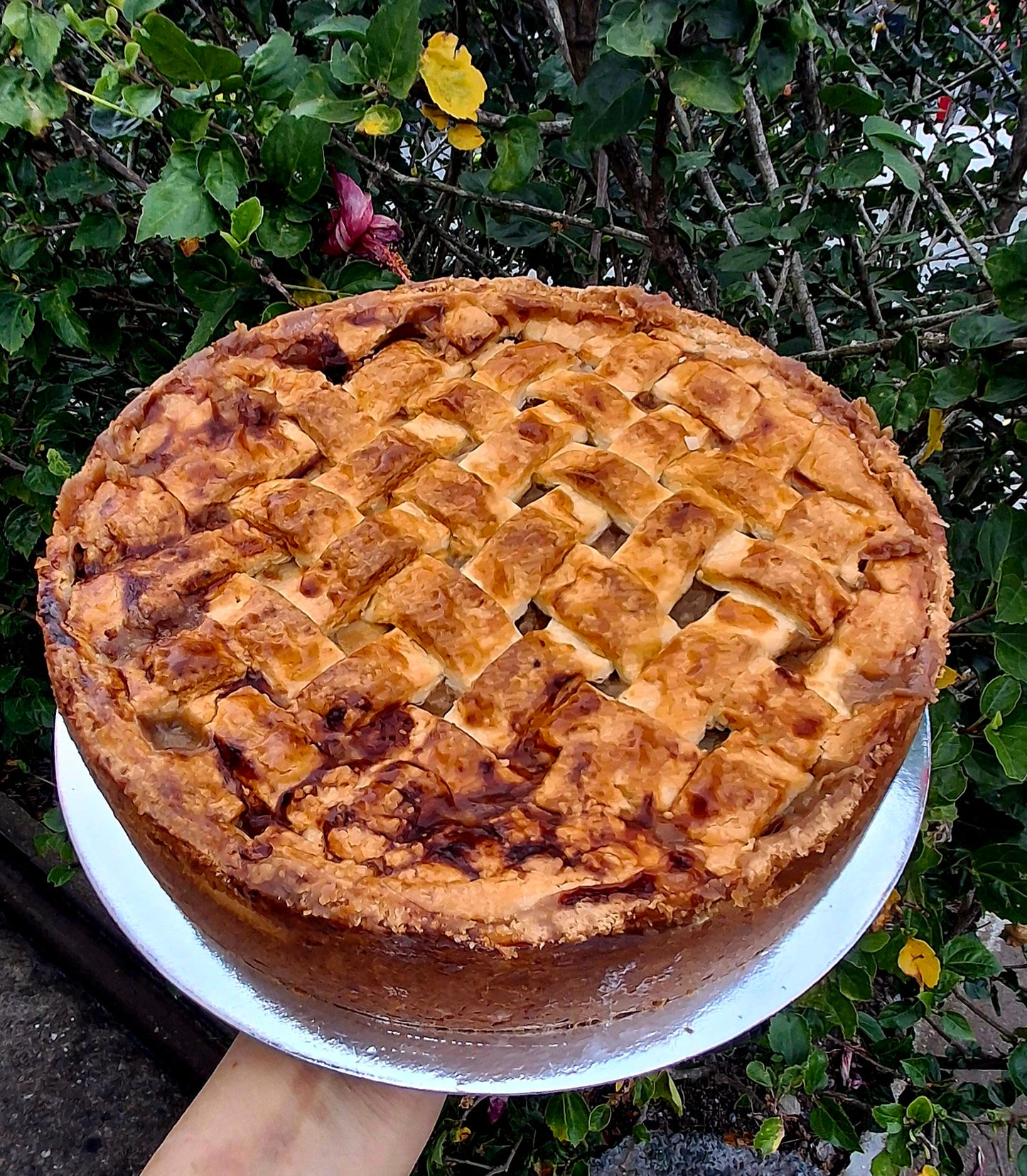 Weekly Family Meals - Dessert